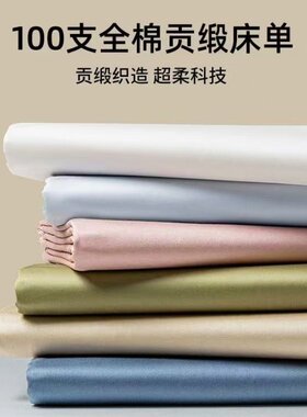 微瑕高支高密长绒棉纯色床单