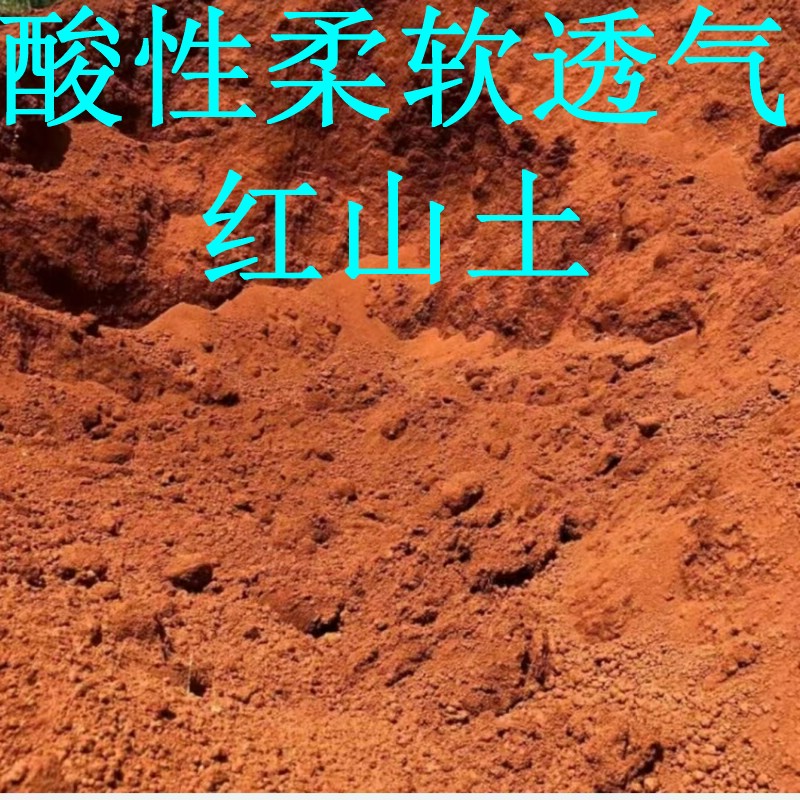 营养土红土酸性细腻盆栽多用途