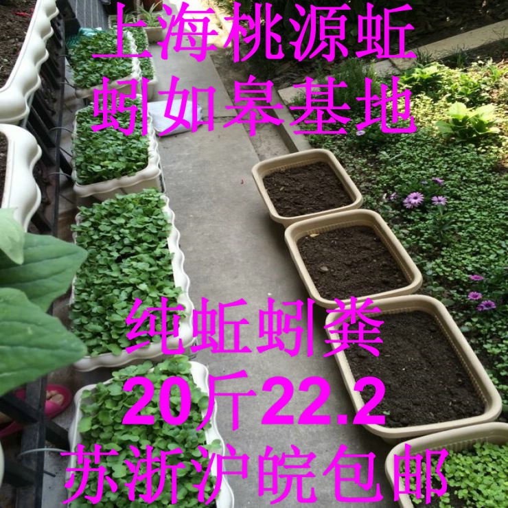 蚯蚓粪多肉植物肥料营养土绿萝培植育苗种植土壤培养栽花土花肥料