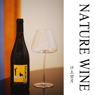 自然酒 陌迪MORTIER 沙土望月 品丽珠 红葡萄酒  卢瓦河 法国进口