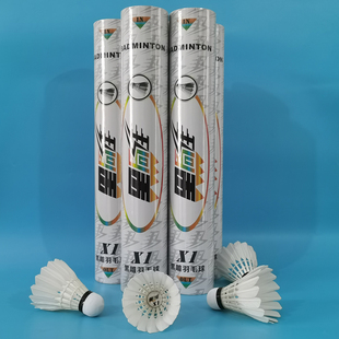 黑雕羽毛球X1鸭毛驼背耐打稳定学生新手初学者训练俱乐部群活动球