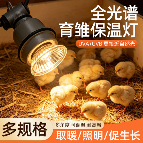小鸡育雏保温灯芦丁鸡加热灯养殖场专用小太阳加热灯保暖育雏烤灯
