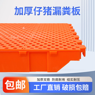 加厚塑料漏粪板猪用猪圈母猪产床漏粪板小仔猪保育床地板养殖设备