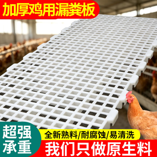 加厚鸡用漏粪板塑料家禽漏屎网格