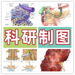 医疗动画 科研制图 科普漫画 医学论文插画制作 知易社医学绘图