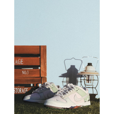 Nike耐克DunkLow女休闲板鞋