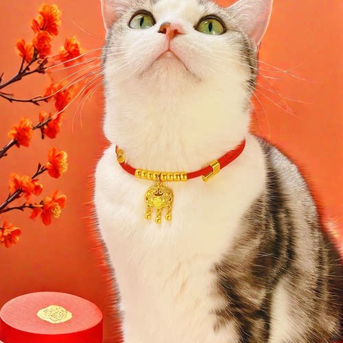 金色福牌猫咪项圈平安锁吊坠