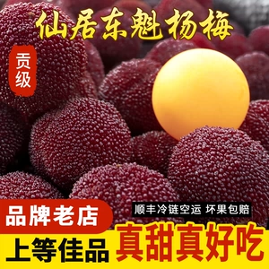 [【贡级】正宗仙居高山东魁杨梅 当季新鲜乒乓大杨梅水果颗粒礼盒]
