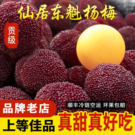 【贡级】正宗仙居东魁杨梅 当季新鲜乒乓大杨梅水果颗粒礼盒现摘