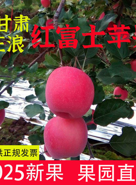 甘肃庄浪2025新鲜苹果红富士精品果晚熟脆甜直发不打蜡整箱包邮