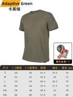 Хаки Грин дар дар