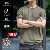 Зеленый подарок