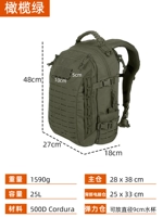 Olive Green SF Бесплатная доставка