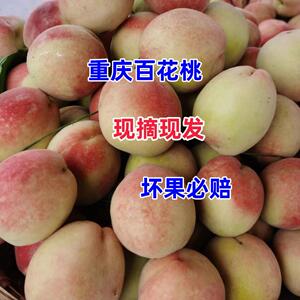 重庆合川白花桃青脆甜桃百花桃鹰嘴伏桃应季新鲜水果现摘现发包邮