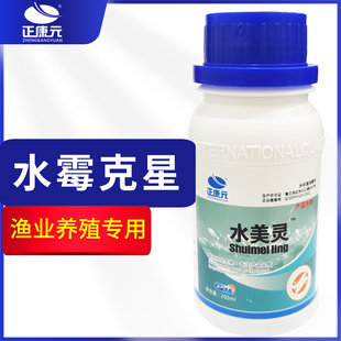 鱼塘水霉病 鱼身发霉长毛 鳍霉鳃霉 正康元水霉溃烂灵厂家包邮