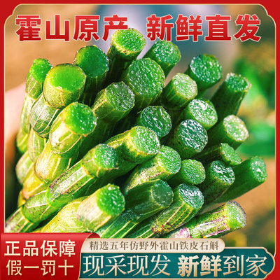 霍山铁皮石斛鲜条新鲜安徽