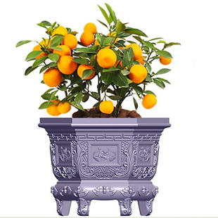 六鼎花盆模具水泥制品自制模型塑料磨具园林绿化种花diy花盒模板