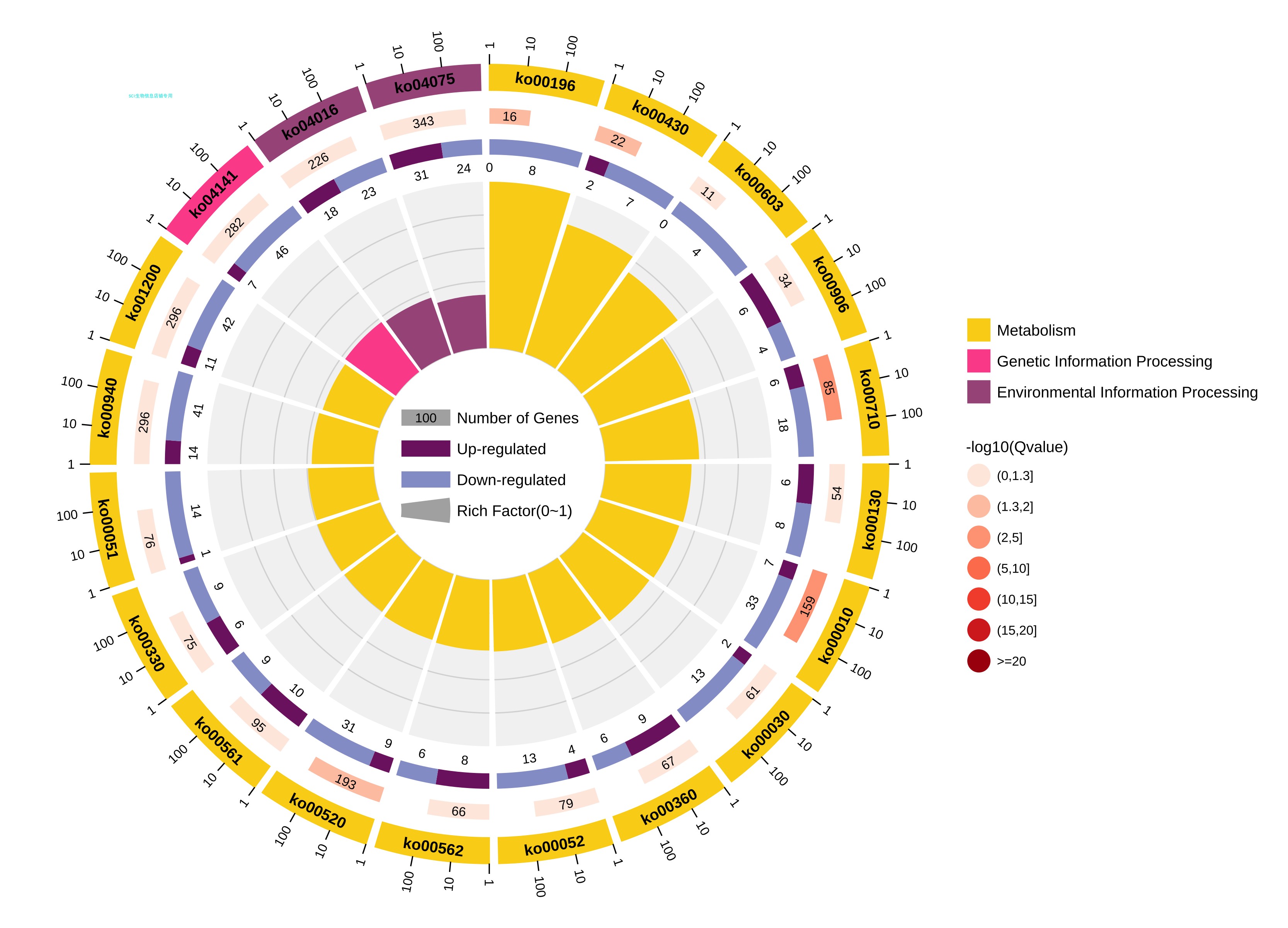 转录组数据分析/有参转录组/无参转录组/kegg富集分析/气泡图