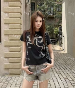 2026夏季新款圆领刺绣短袖T恤女修身显瘦百搭上衣洋气打底衫辣妹