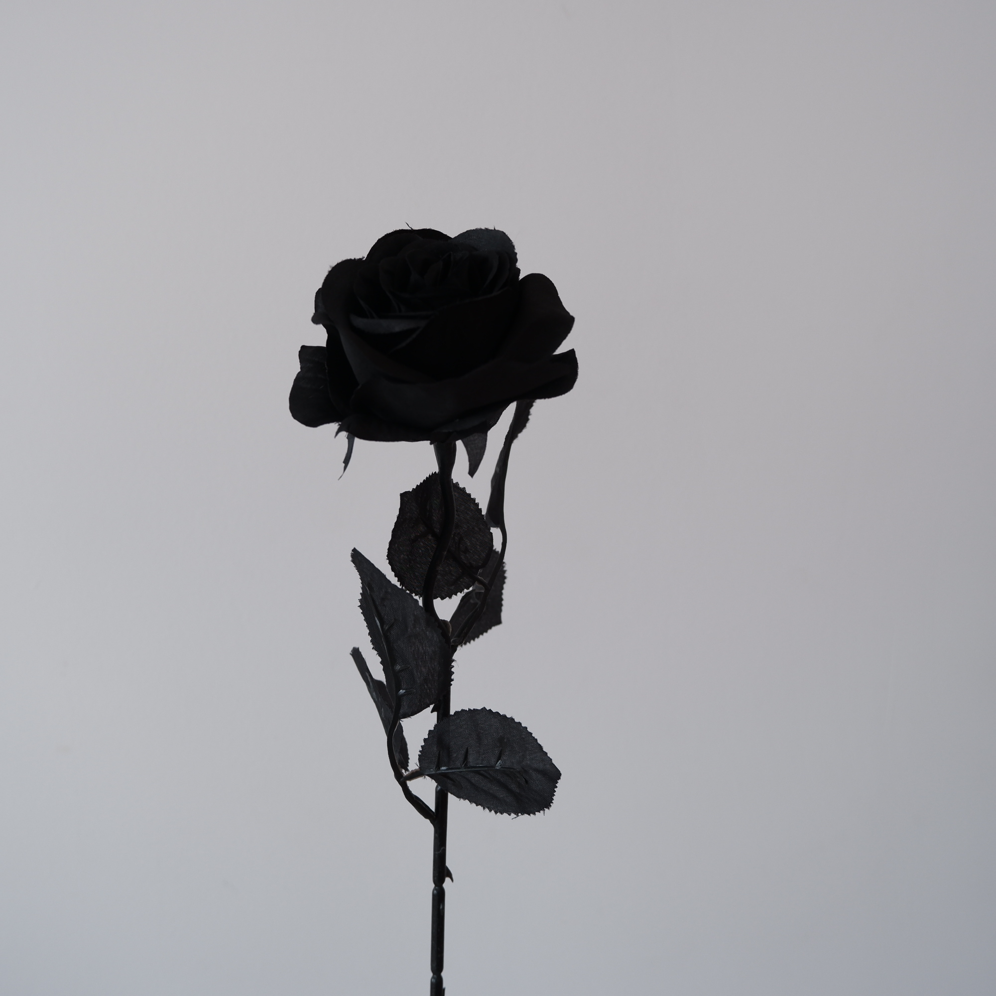 暗红色ins黑玫瑰拍照拍摄仿真花