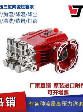 新款WJ雾境内轴B34 小法兰式高压柱塞泵 工业加湿雾化机 绿色环保