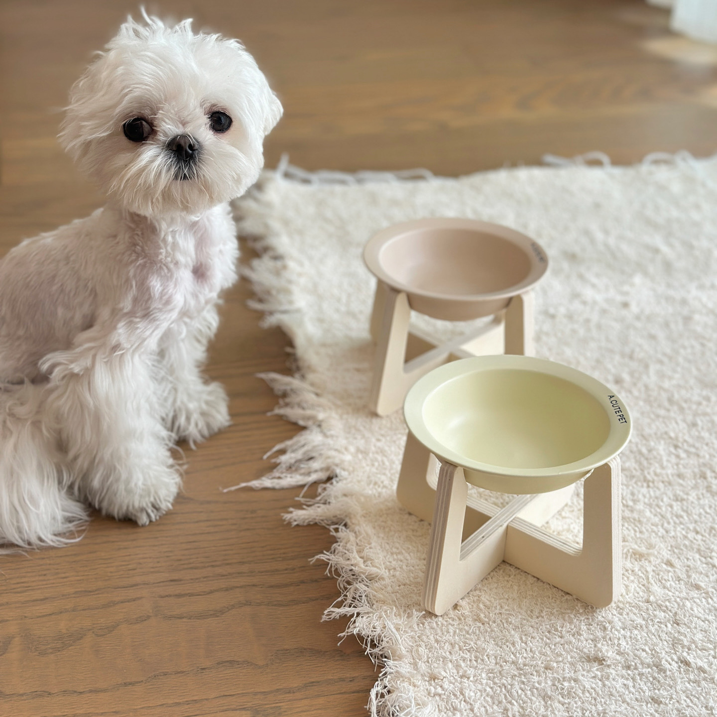 陶瓷宠物碗饭盆水碗高脚防打翻