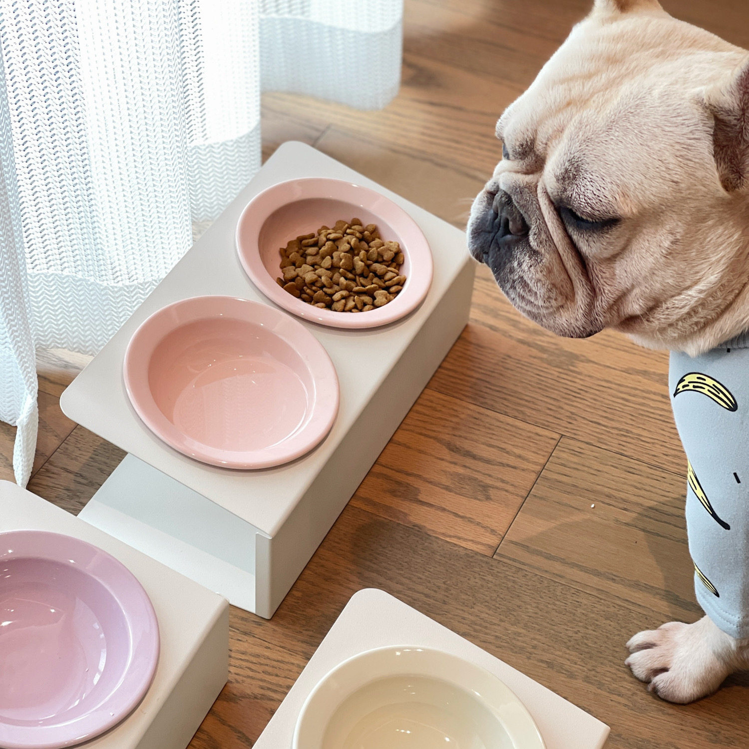 陶瓷斜口双碗飞碟草帽宠物猫咪碗高脚护颈椎防打翻饮水粮食猫狗碗,宠物/宠物食品及用品,猫狗碗/慢食碗,淘宝优惠券,粉丝福利购,淘宝优惠卷