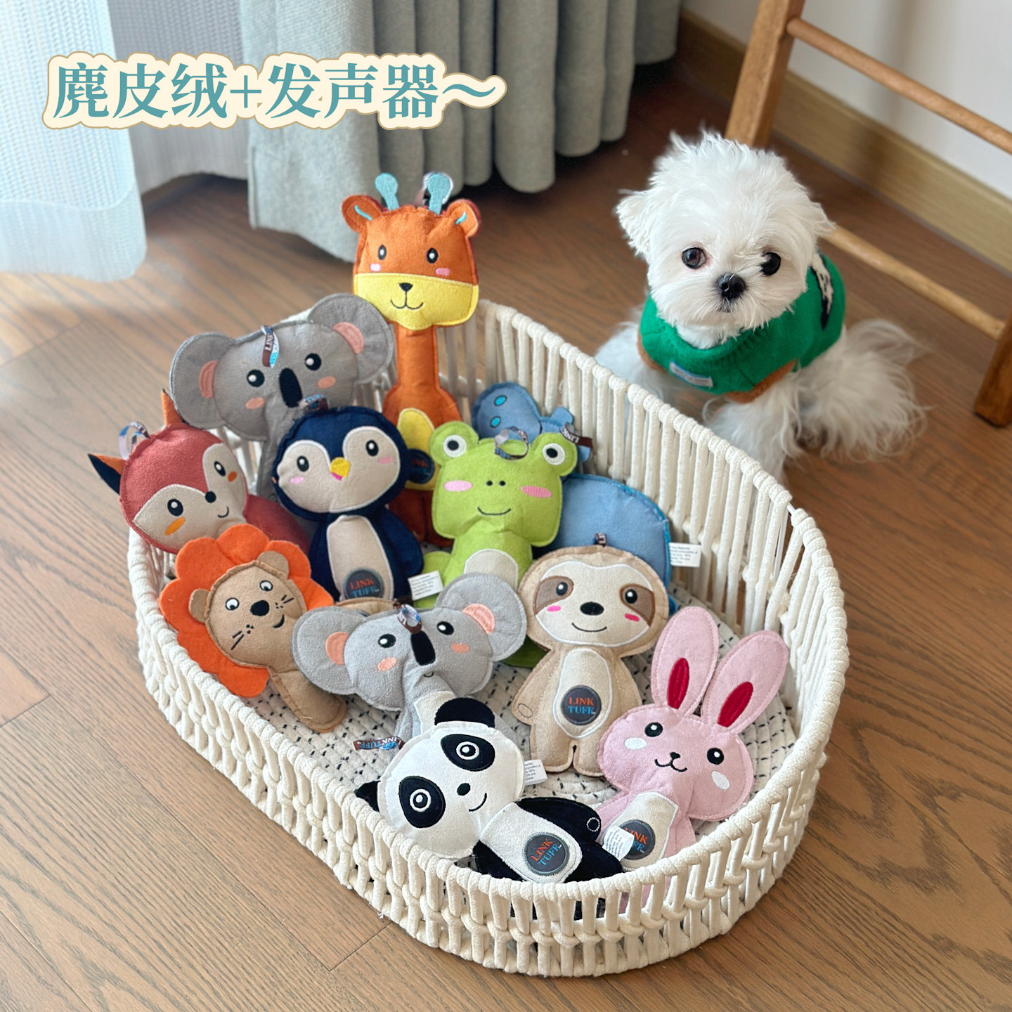 互动性犬类发声麂皮绒全阶段