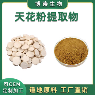 天花粉提取物 天花粉浓缩精华粉末 植物原料比例萃取精华 直供