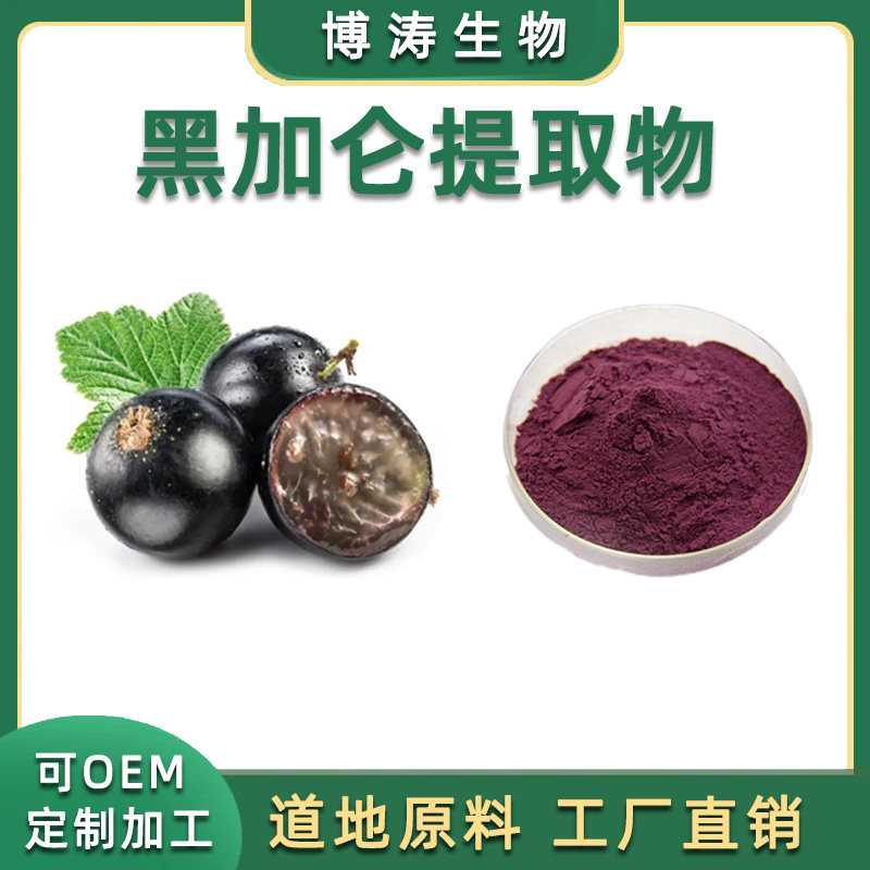 黑加仑提取物 溶黑茶藨子黑加仑汁冻干粉粉末 25%花青素 包邮