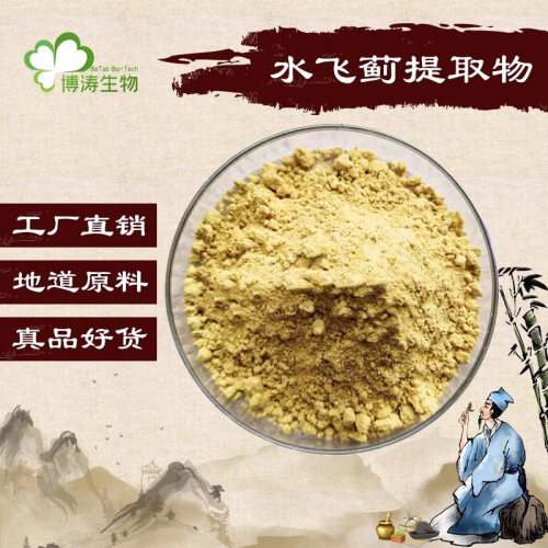 水飞蓟提取物水飞蓟素浓缩粉末宾