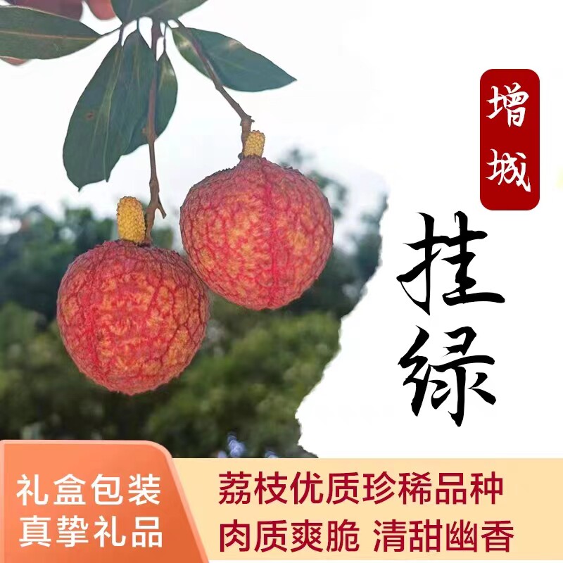 2026正宗广东增城挂绿荔枝特级当季新鲜现摘整箱顺丰包邮送礼佳品