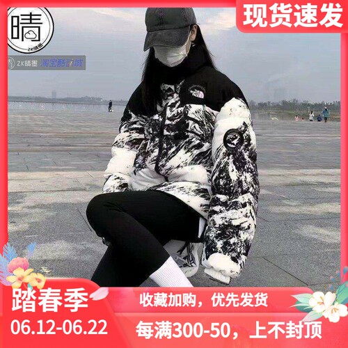 THENORTHFACE立领雪山羽绒服