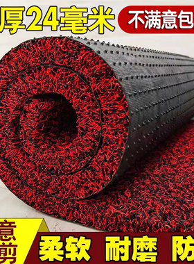 入户门进门地垫家用门口垫子可裁剪门垫防水防滑地毯加厚丝圈脚垫