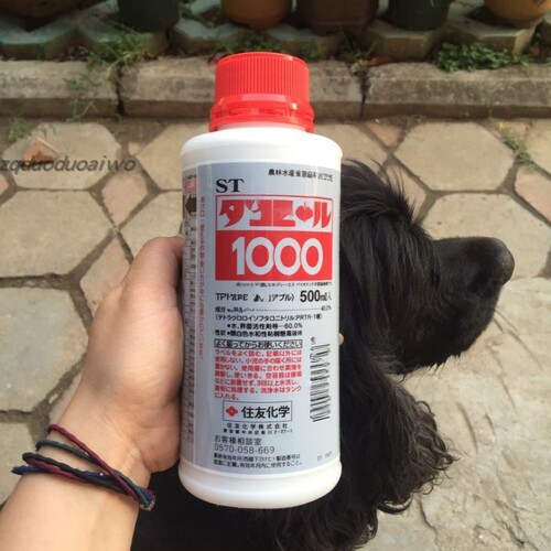 日本进口ST1000达克灵精TPN