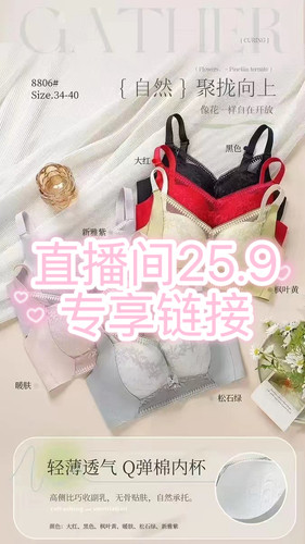 （2件装）品牌孤品高货调整型内衣