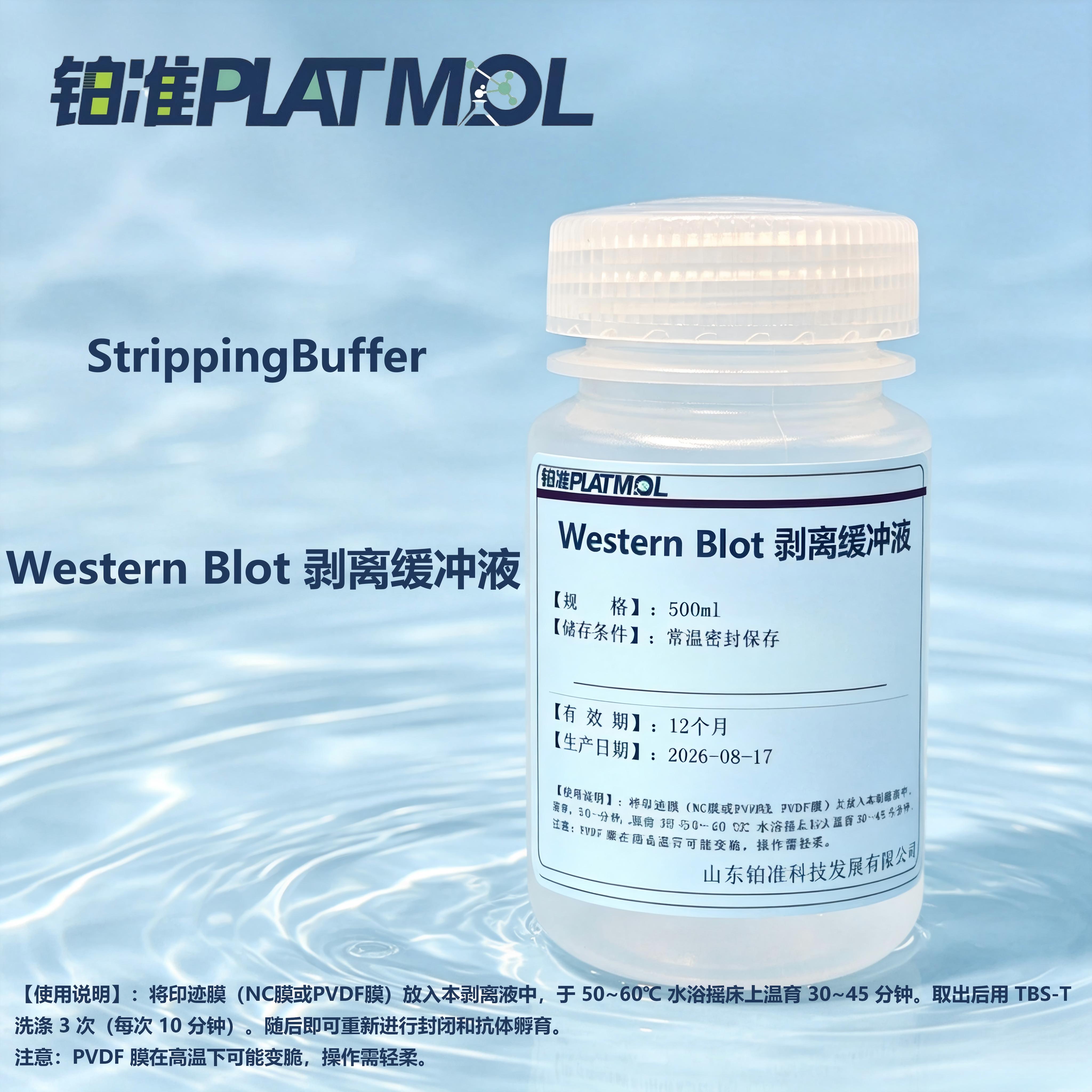 Western Blot 剥离缓冲液Stripping Buffer剥离缓冲液图片