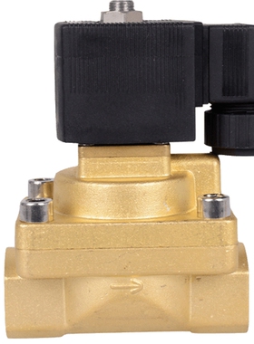 宝德4分高温电磁阀耐压50公斤22310 6213 5404 JT5231015水阀气阀