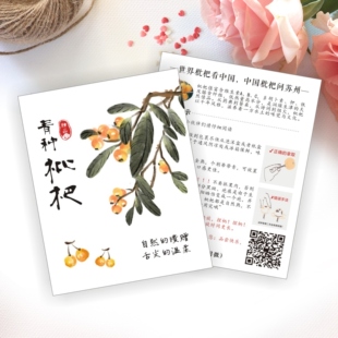 西山青种枇杷东山白玉枇杷米易枇杷食用保存说明温馨提示卡片定制