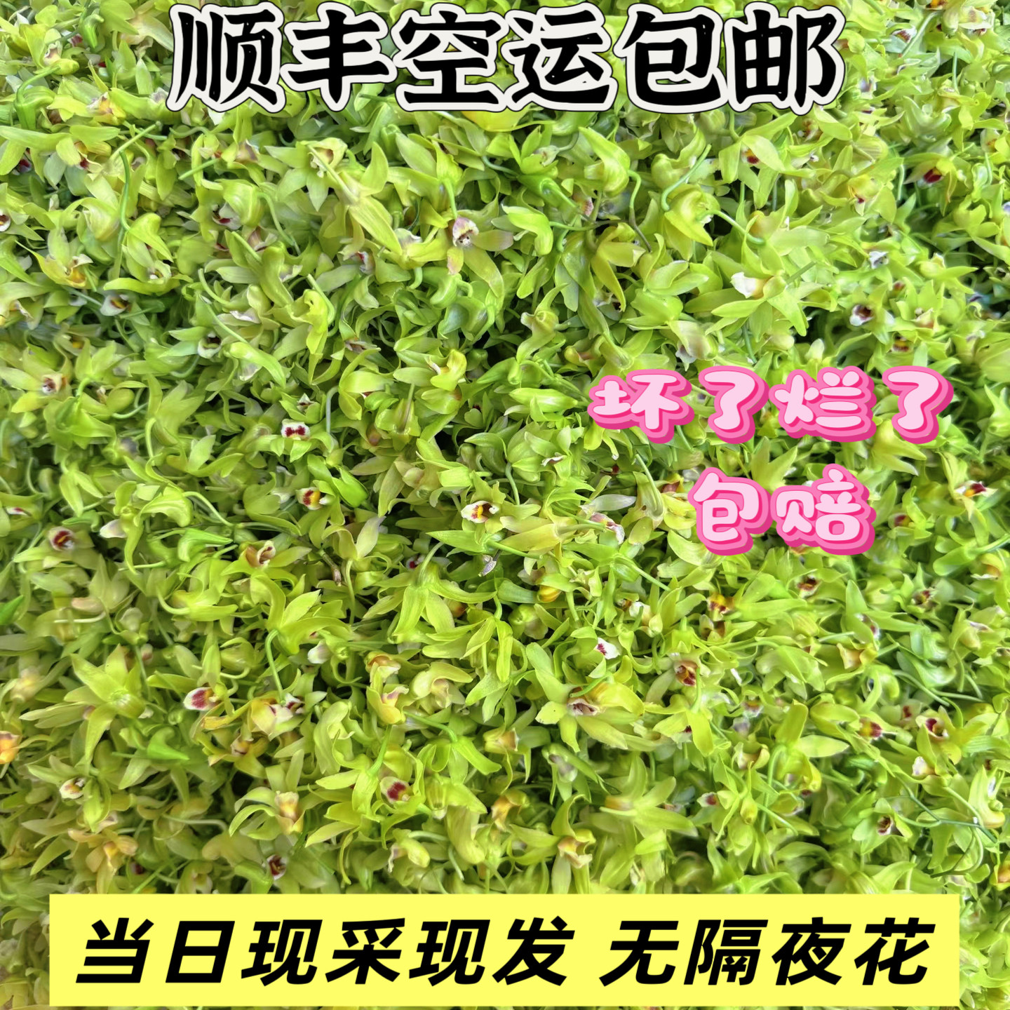 铁皮石斛鲜花新鲜石斛花顺丰空运每天现采现发坏单包赔,传统滋补营养品,石斛/枫斗,淘宝优惠券,粉丝福利购,淘宝优惠卷