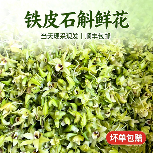 当天现采铁皮石斛鲜花