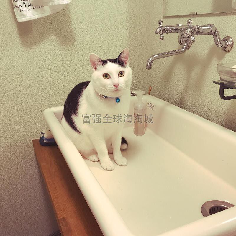 日本toto东陶家用壁挂式陶瓷盆/洗脸盆/洗衣盆玄关半嵌洗手盆