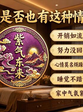 解决床尾有衣柜卧室床头朝西专用亚克力贴自带背胶衣柜贴紫气东来