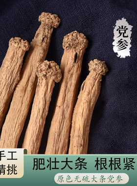 甘肃岷县党参整根干货材当参黄芪当归切片党参条
