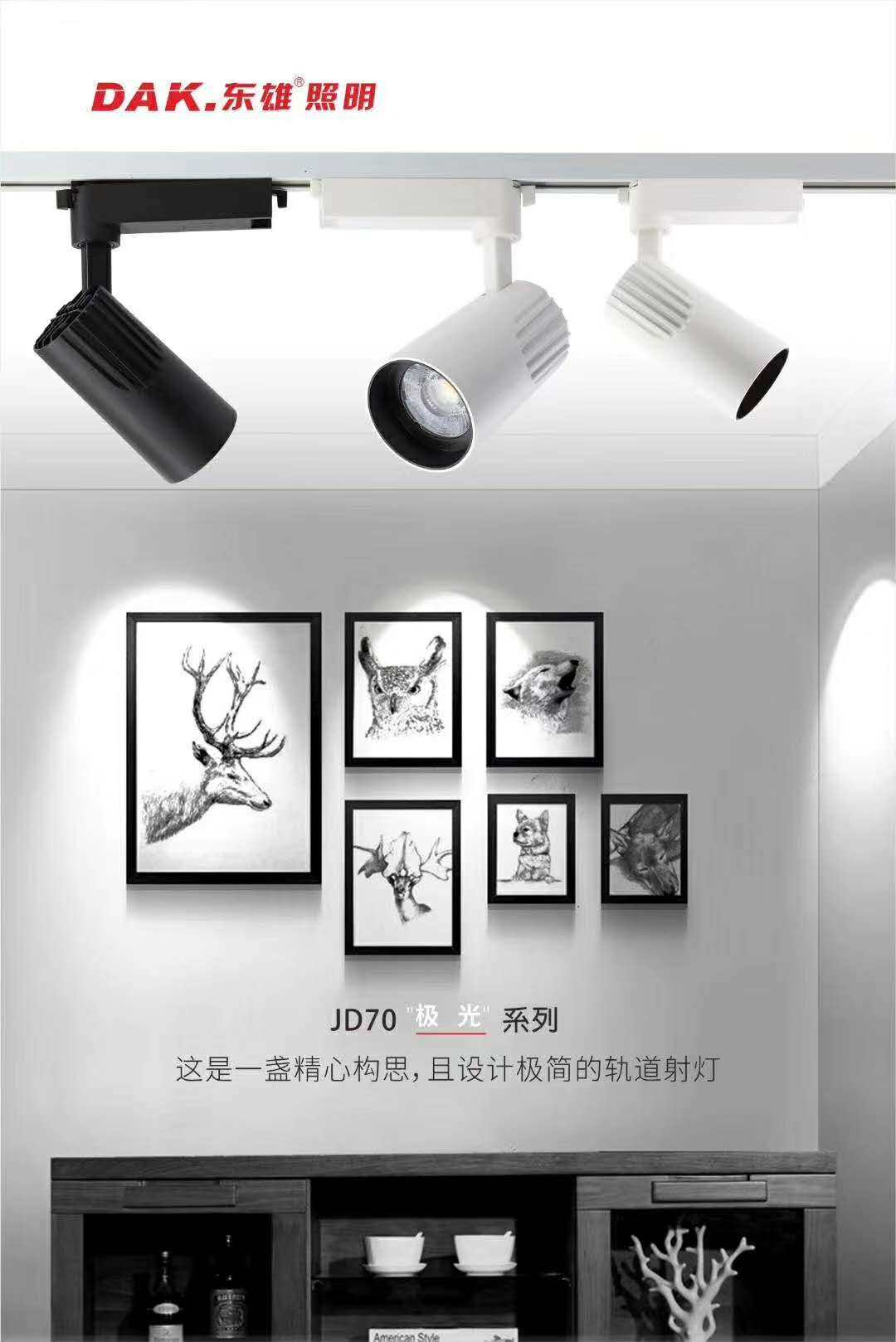 东雄led照明 30W轨道射灯 商用背景墙服装店 鞋店LED商用照明