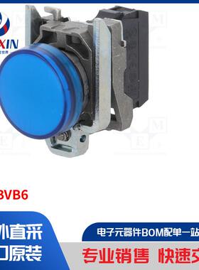 XB4BVB6 指示器类型-控制灯