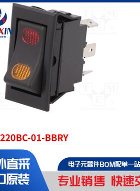 R13-220BC-01-BBRY 开关类型-ROCKER