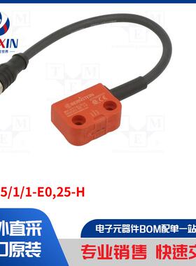 SRF-5/1/1-E0,25-H 安全开关类型-磁性