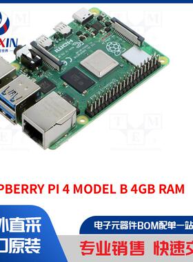 RASPBERRY PI 4 MODEL B 4GB RAM 套件类型-单板计算机