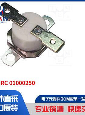 3455RC 01000250 传感器类型-恒温器